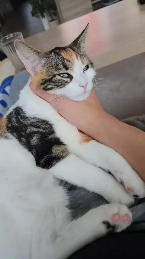 She likes to sleep in my hand, but it always looks like i'm choking her. The spazes are not helping😂