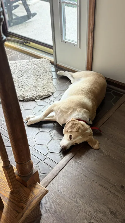 My ex husband said I'd miss him but this man right here got me through my divorce with no tears <3