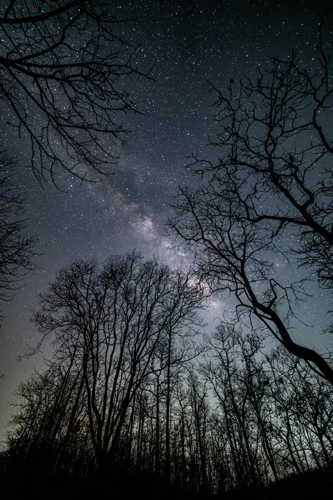 MIIlkyway at pench natuonal park india