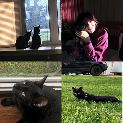 Lost the best boy ever yesterday.