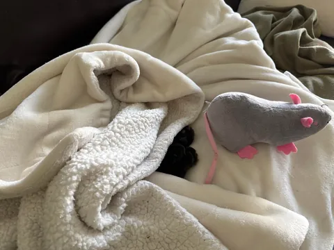 Soup Update: HE IS AN ADULT!!!