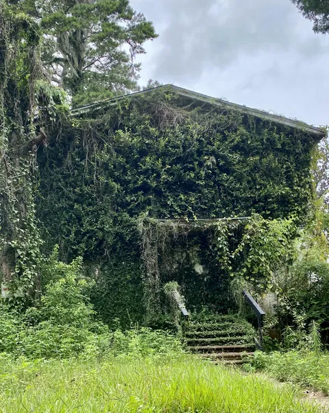This house being consumed by nature