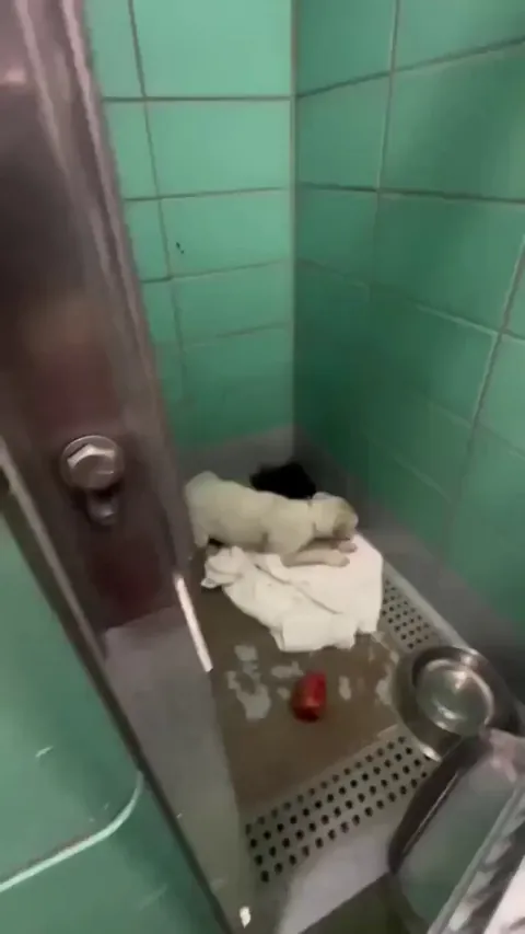 The transformative power of love