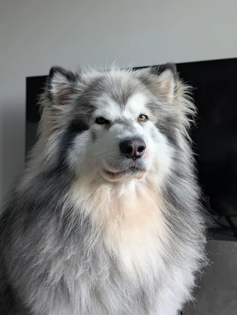 Unamused. Unimpressed. 😐