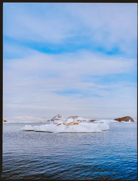 Traveling with Lindblad in Antarctica