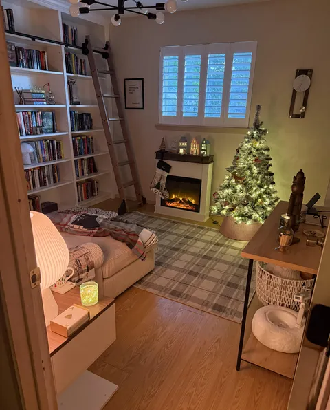 My library at Christmas 