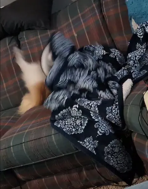 My mom's dog, Lady, will find a blanket and flail around under them. We call them her "seizures," but she's just a goodball