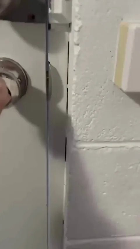 Wild Australian animals visiting the hotel room door