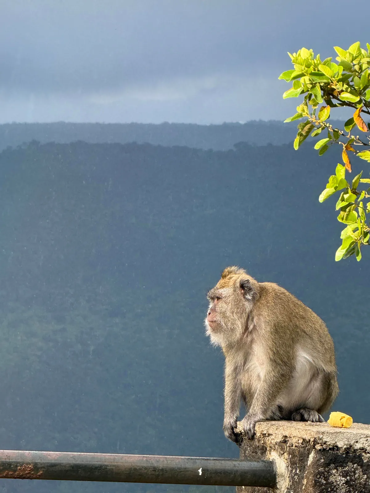 8 days vacation in Mauritius.