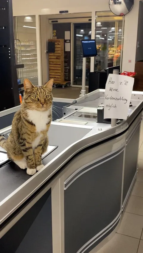 Look who just snuck into the store at 2 am