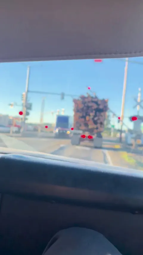 Log truck gets it from a train. One of my technicians sent me this as they were starting their day.