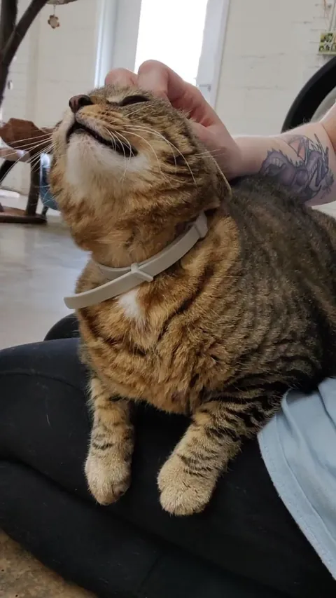 Kacey is back with another lap time chit chat