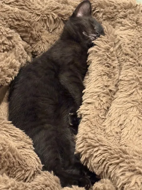 My birthday present!💝