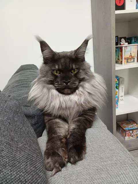 Hi reddit, it's Théoden. Did not see you for a long time