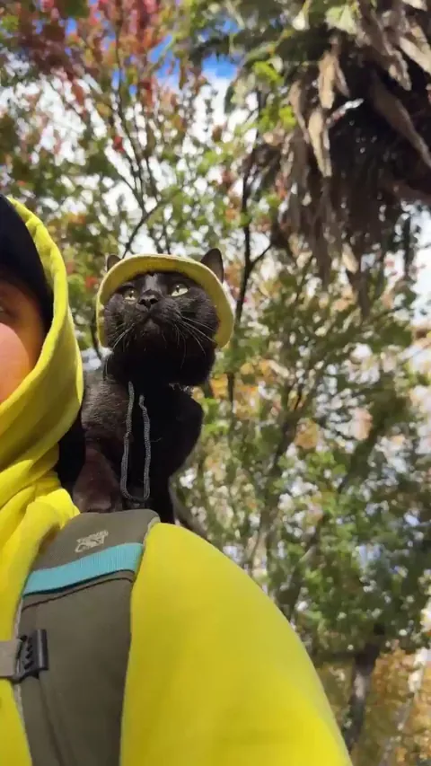 Shoulder void, fall season edition 🍂