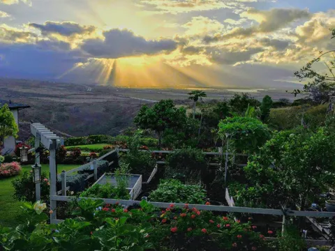 Last pic I was able to get of my dad's garden before he retired and moved overseas. Makakilo, Hawai'i.