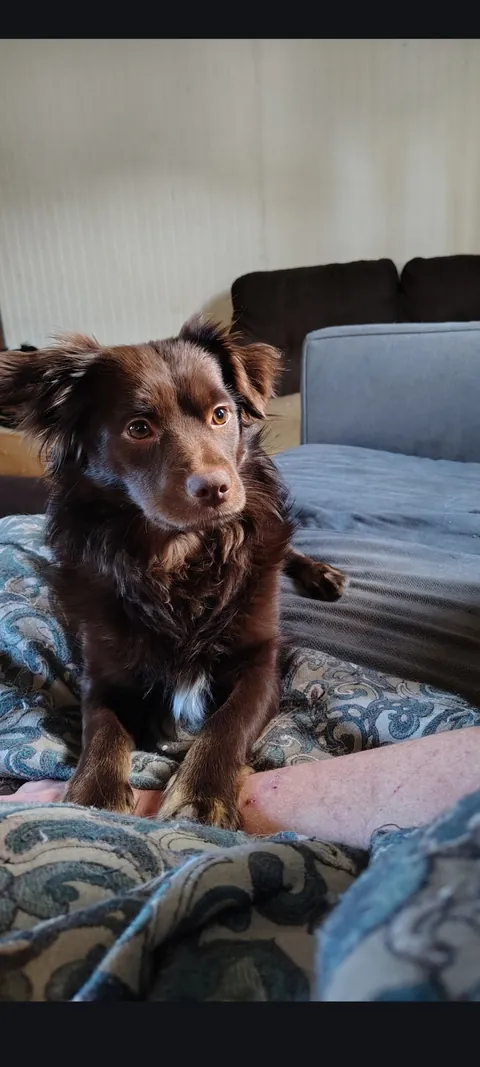 Minerva is a pretty lady