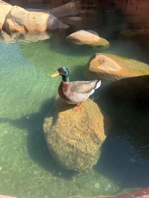 Exquisite Photo Of A Fuck I Took