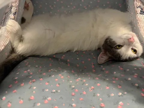 Currently unavailable—she’s in her tent. ⛺️