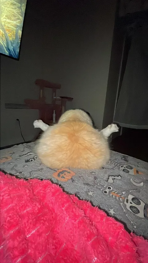 I would love to share this captivating art piece of my cat