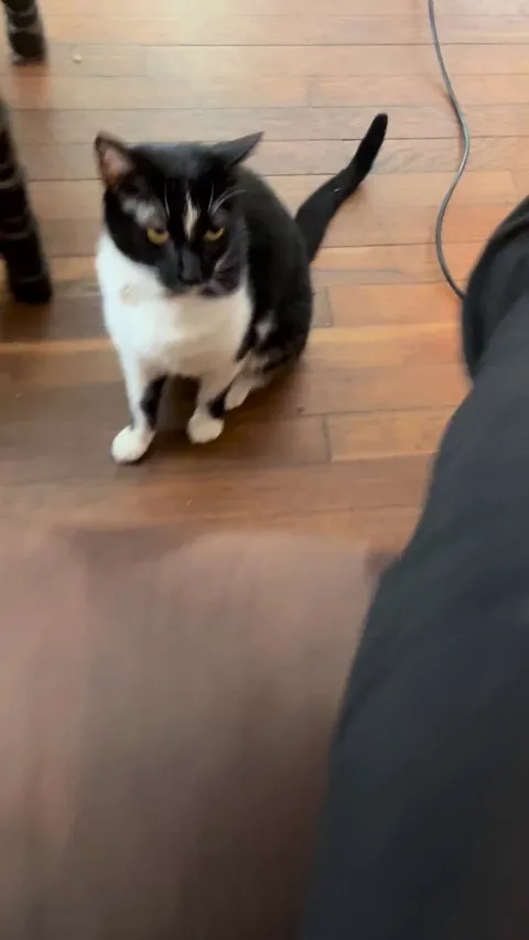 Why does she led me to the kitchen then slam herself on the ground