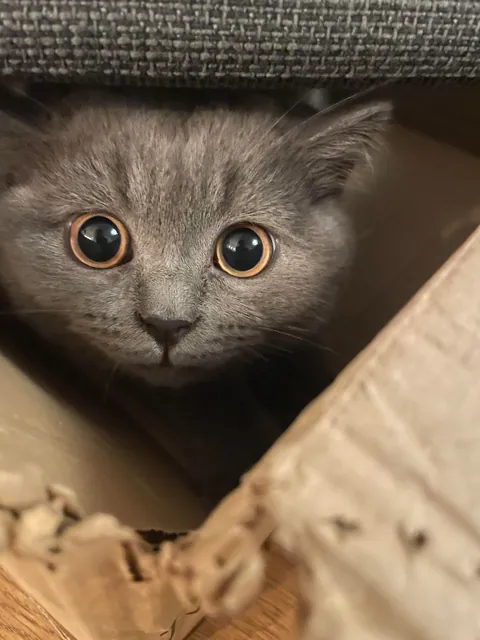 It’s his 1st bday. Congratulate him