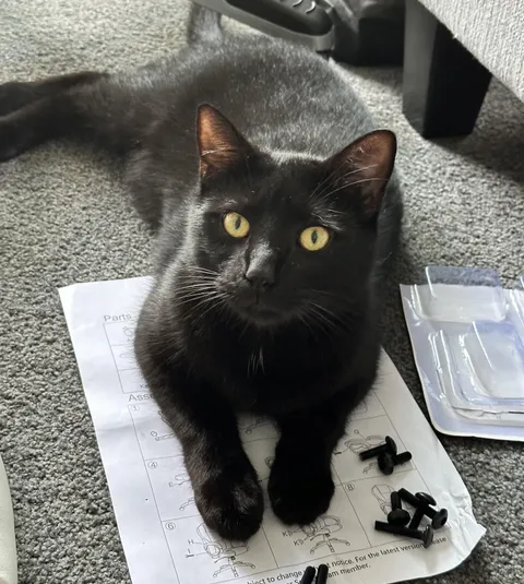 He was homeless, and they say that I saved him… the reality is he saved me