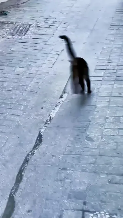 Hydration supervisor ensuring optimal water flow efficiency