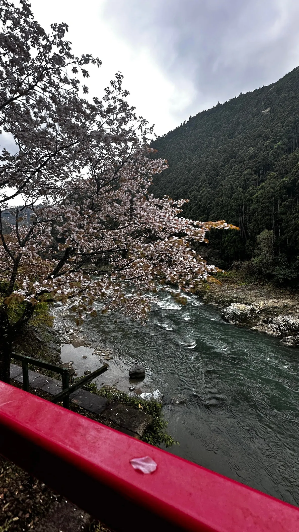 Japan 🇯🇵 is unreal