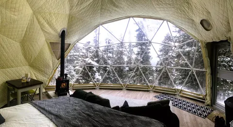 My geodesic dome this Christmas