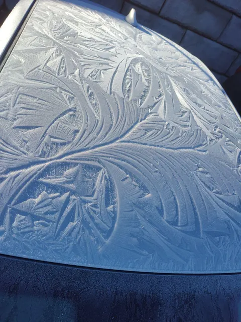 Frost on top of a car at my job. 