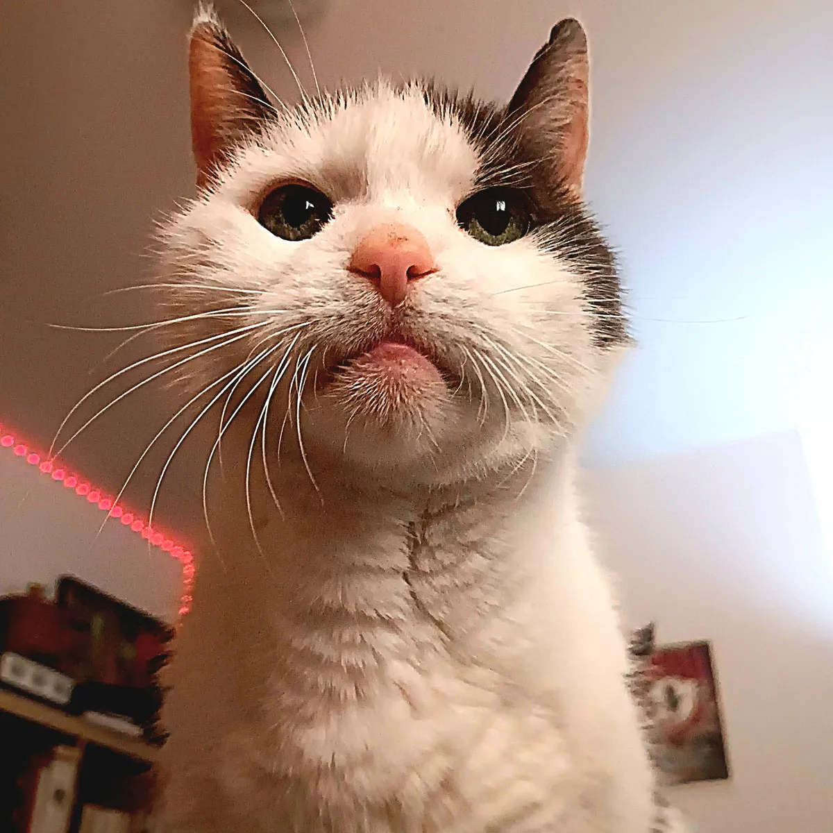 my best friend is 15 years old today &lt;3