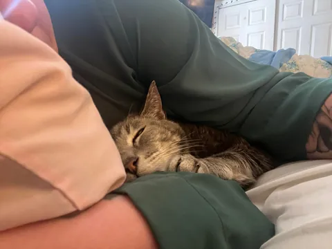 We are nearing the end and I’m not ready…..