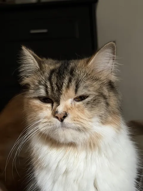 POV: When I wake up 1 min late to feed her.