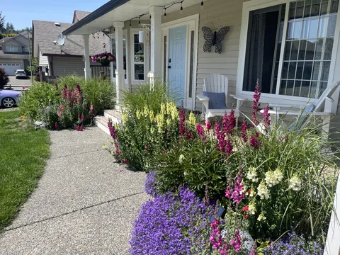 My front garden this morning