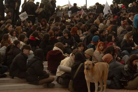 This stray dog has been attending all the protests held in Istanbul recently