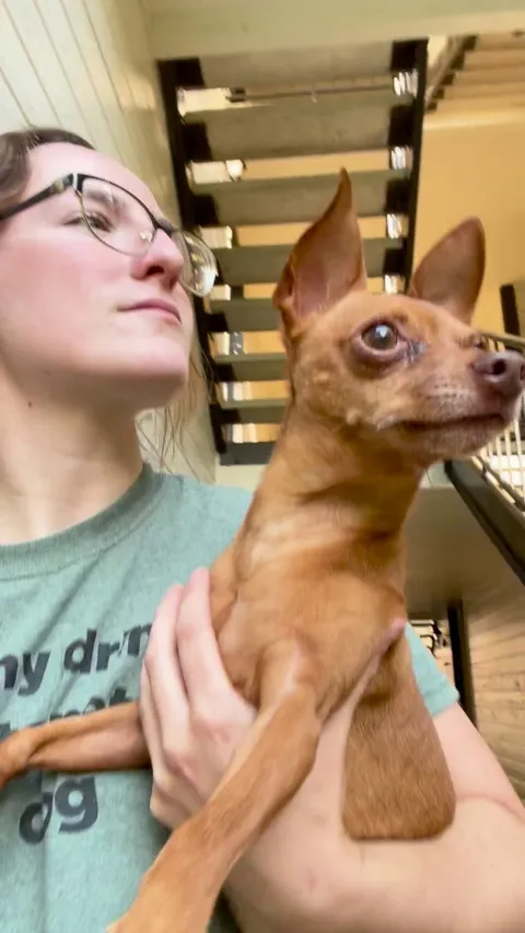 Momma is so mean…she pretended to see another dog 😭💔