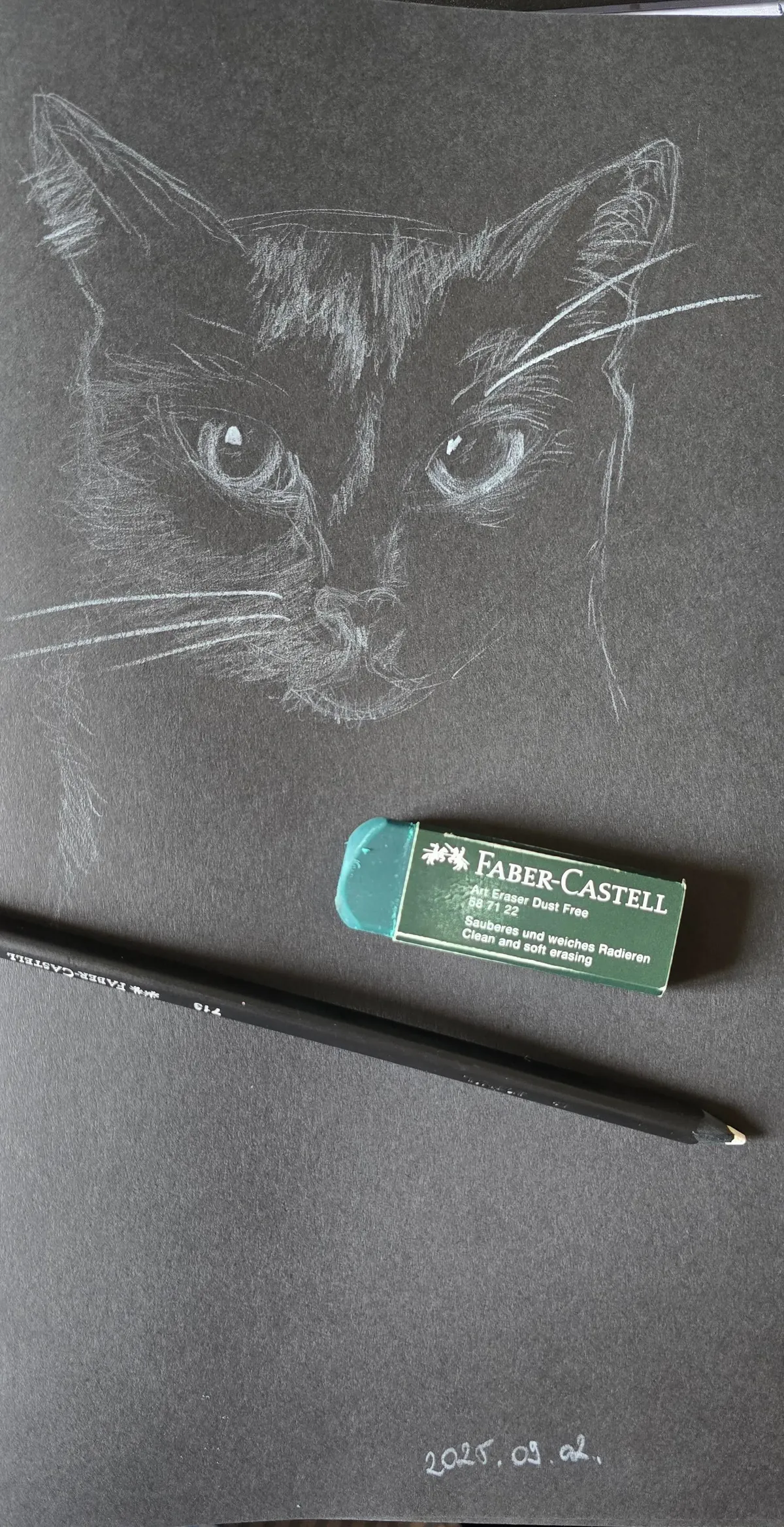 I drew my cat, Zeus❤️🐈‍⬛