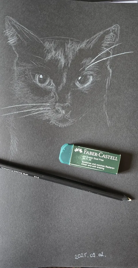 I drew my cat, Zeus❤️🐈‍⬛