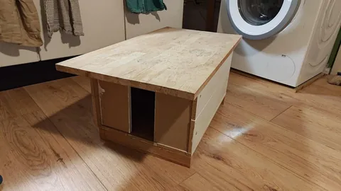 Beautiful cat has been dumped by it's owner...