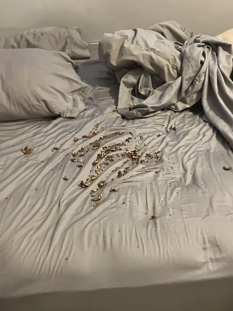 My sister just dumped a bunch of food on my bed, how should I get revenge?