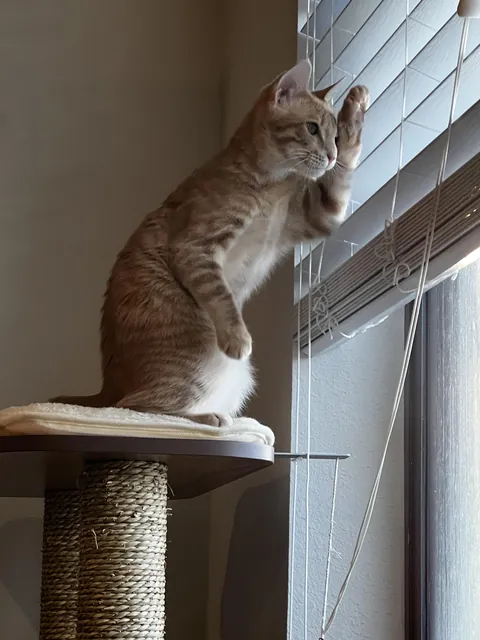 Neighborhood watch on duty