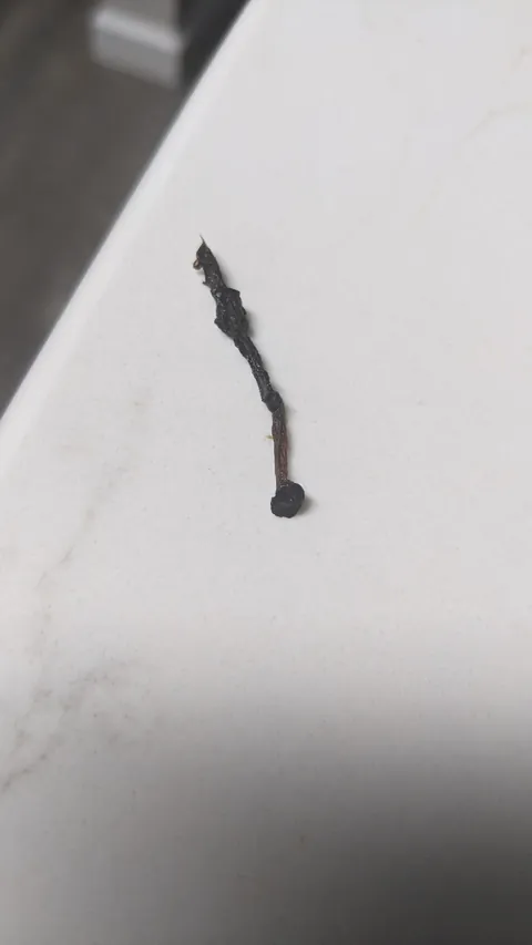 Came out of my metal straw into my mouth this morning