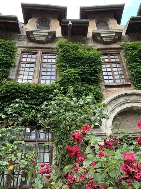 Seen on my walk in Bucharest, Romania