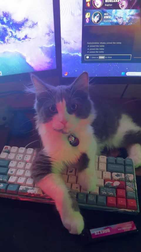 Sorry boys can’t play games tonight