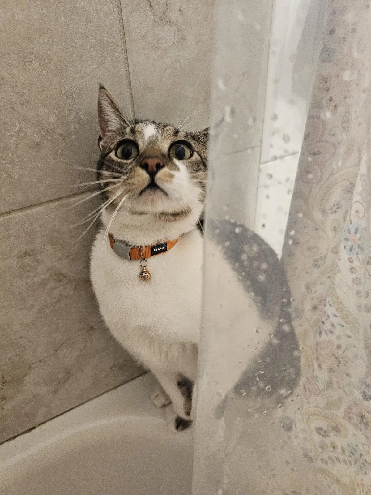 Is he judging me? I feel like he's judging me. 