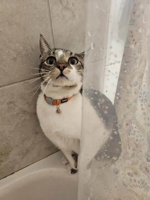 Is he judging me? I feel like he's judging me. 