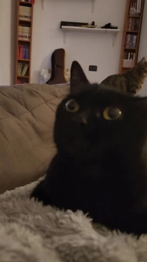 My baby has something to say