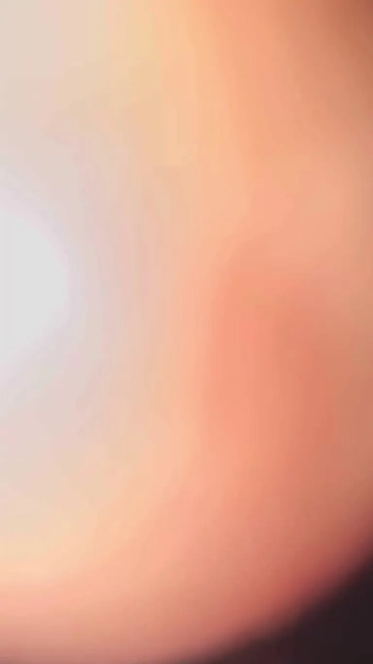 Would you let me sit on your face like this?