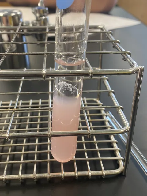 DNA being extracted from a strawberry.